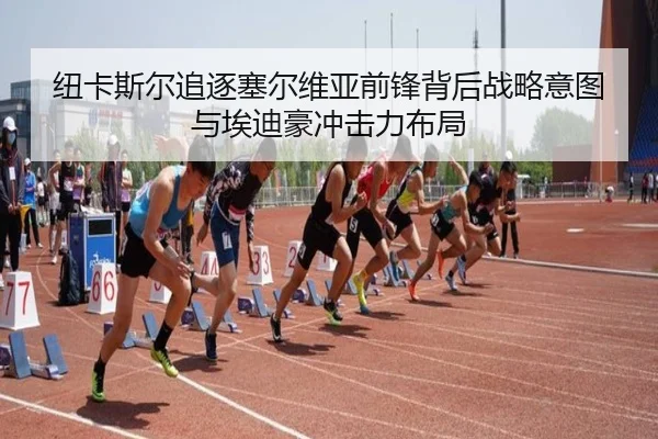 纽卡斯尔追逐塞尔维亚前锋背后战略意图与埃迪豪冲击力布局