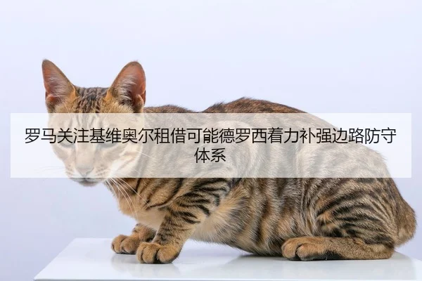 罗马关注基维奥尔租借可能德罗西着力补强边路防守体系