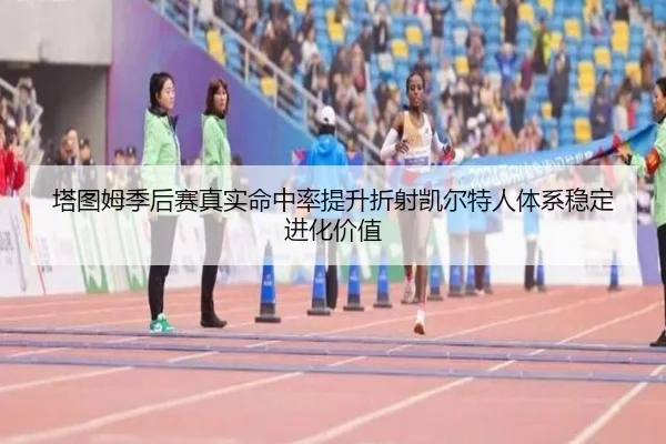 塔图姆季后赛真实命中率提升折射凯尔特人体系稳定进化价值